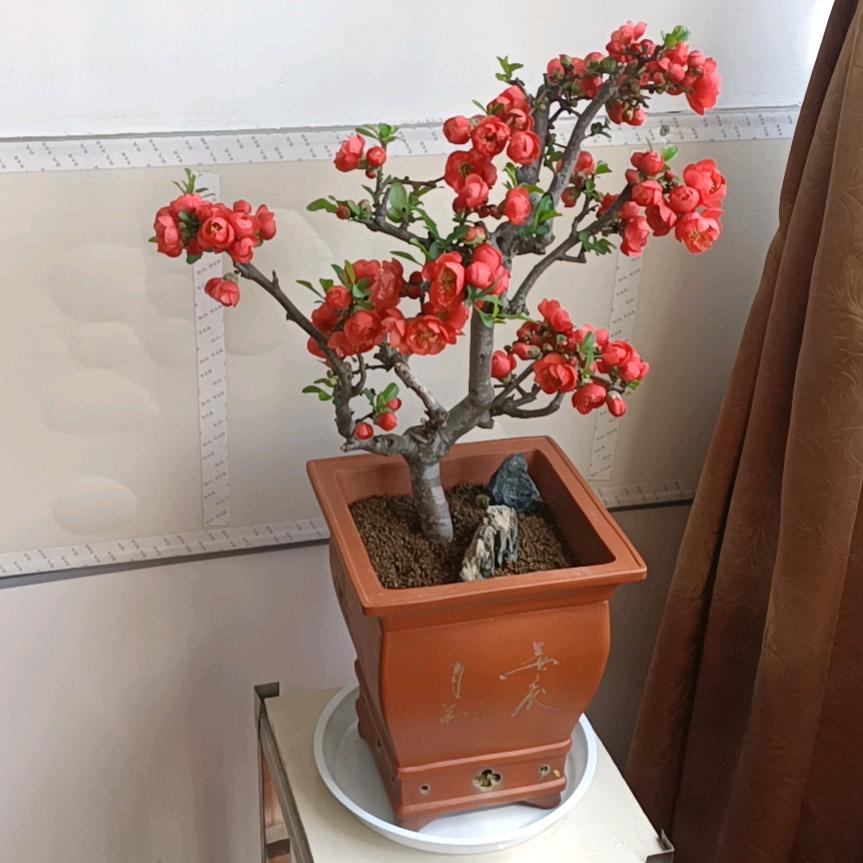 南通业余爱好喜欢唱唱歌的瓦工