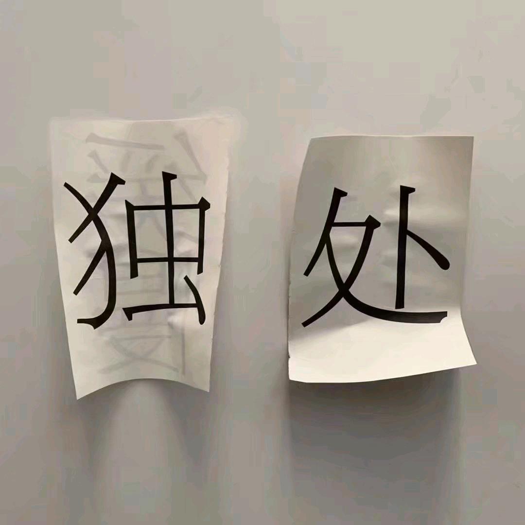 凡凡不烦