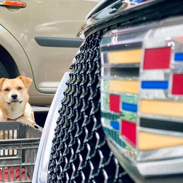 ★（正能量）🇨🇳