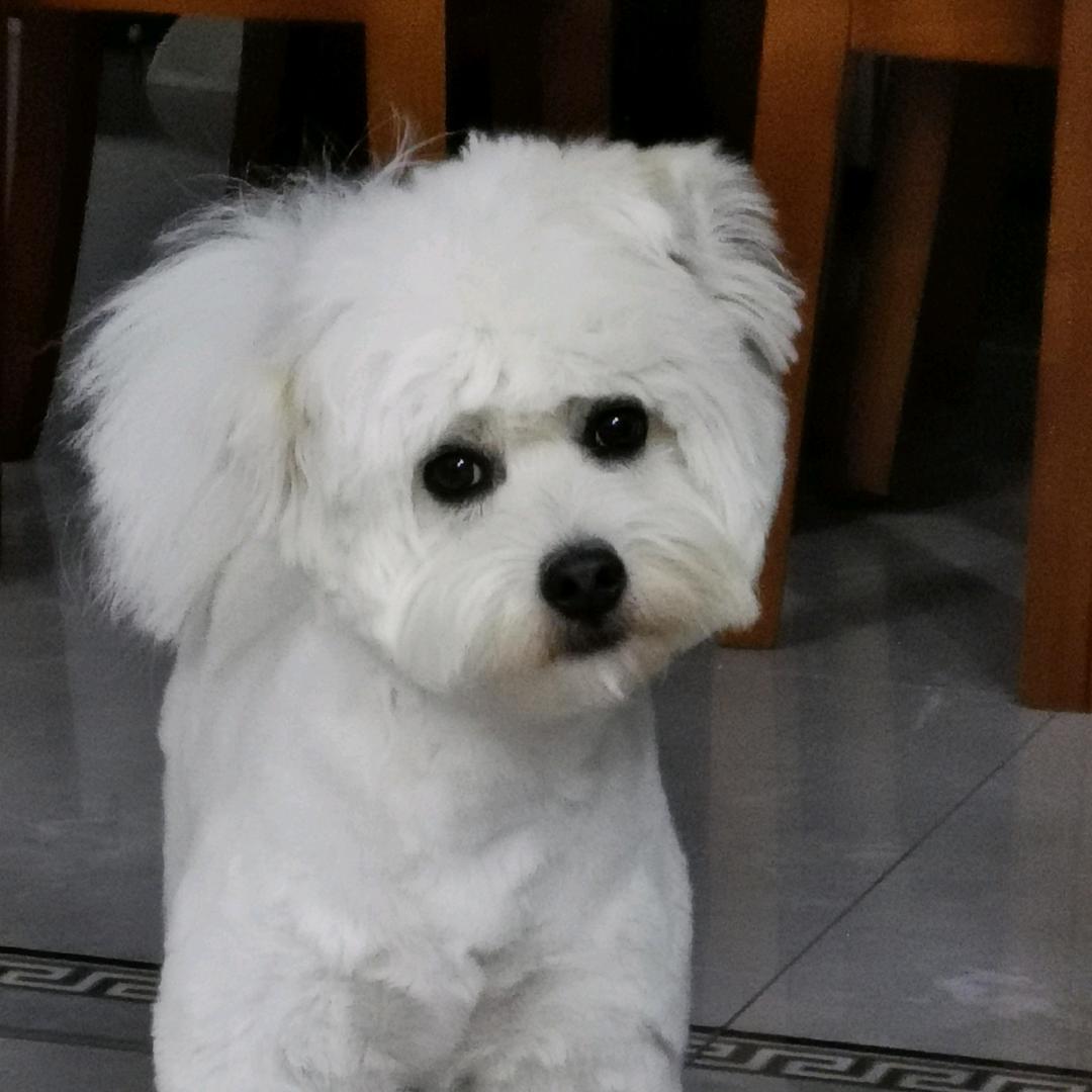 毛衣