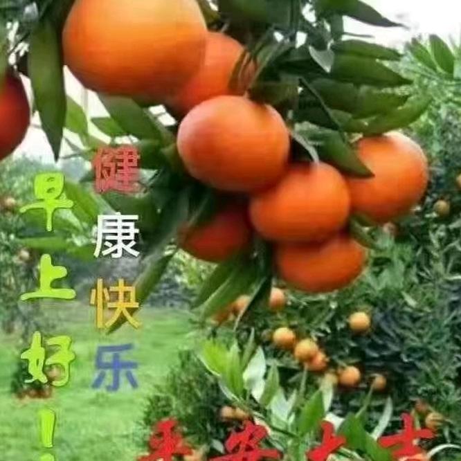 小颜
