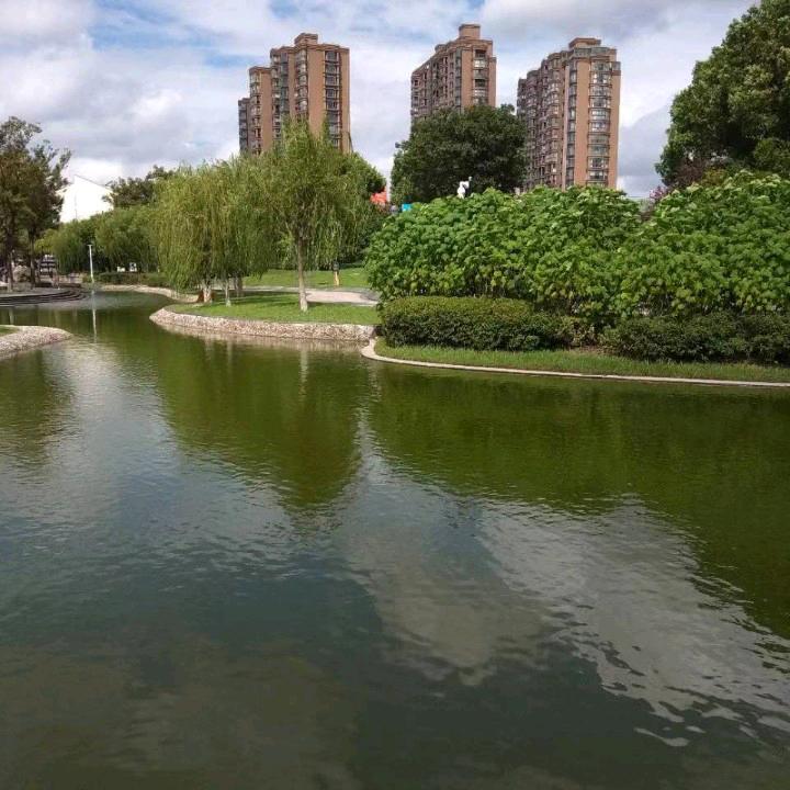 开开心心每一夭