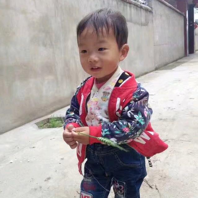 刘某人