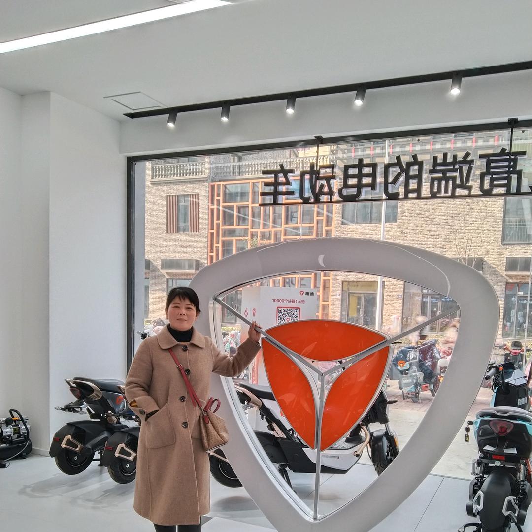 雅迪电动车(庄圩)