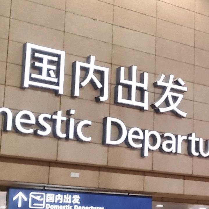 单独山杨