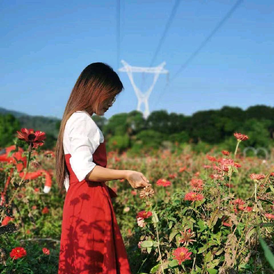 楚楚