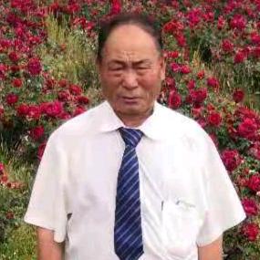 董培标