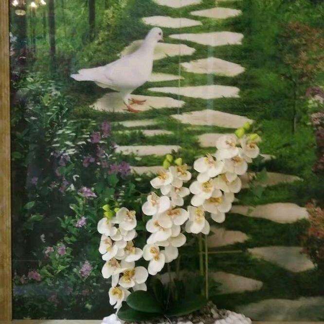 舍～得～