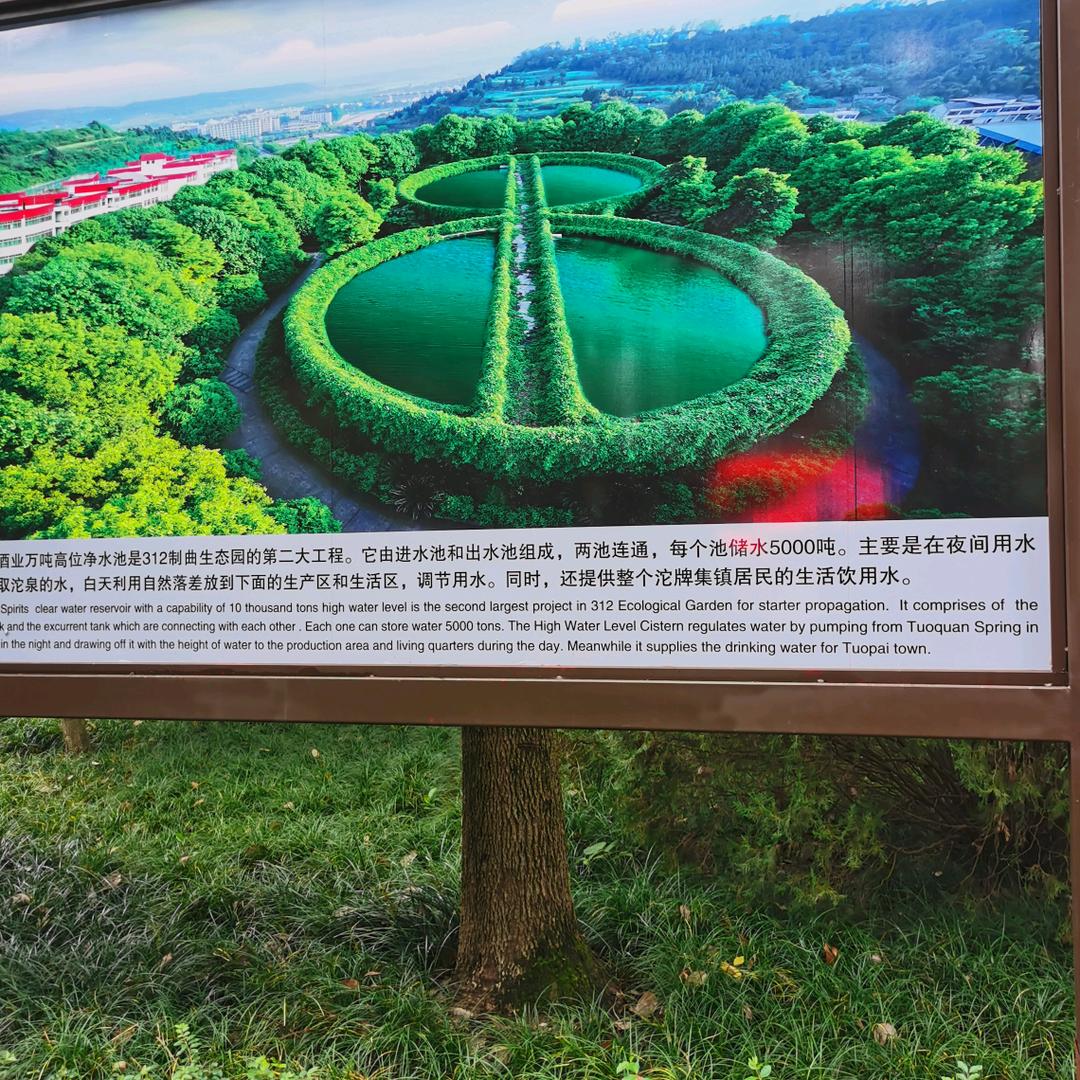 高寒