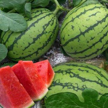 无人机测绘巡检航拍业务资源对接群（全国）