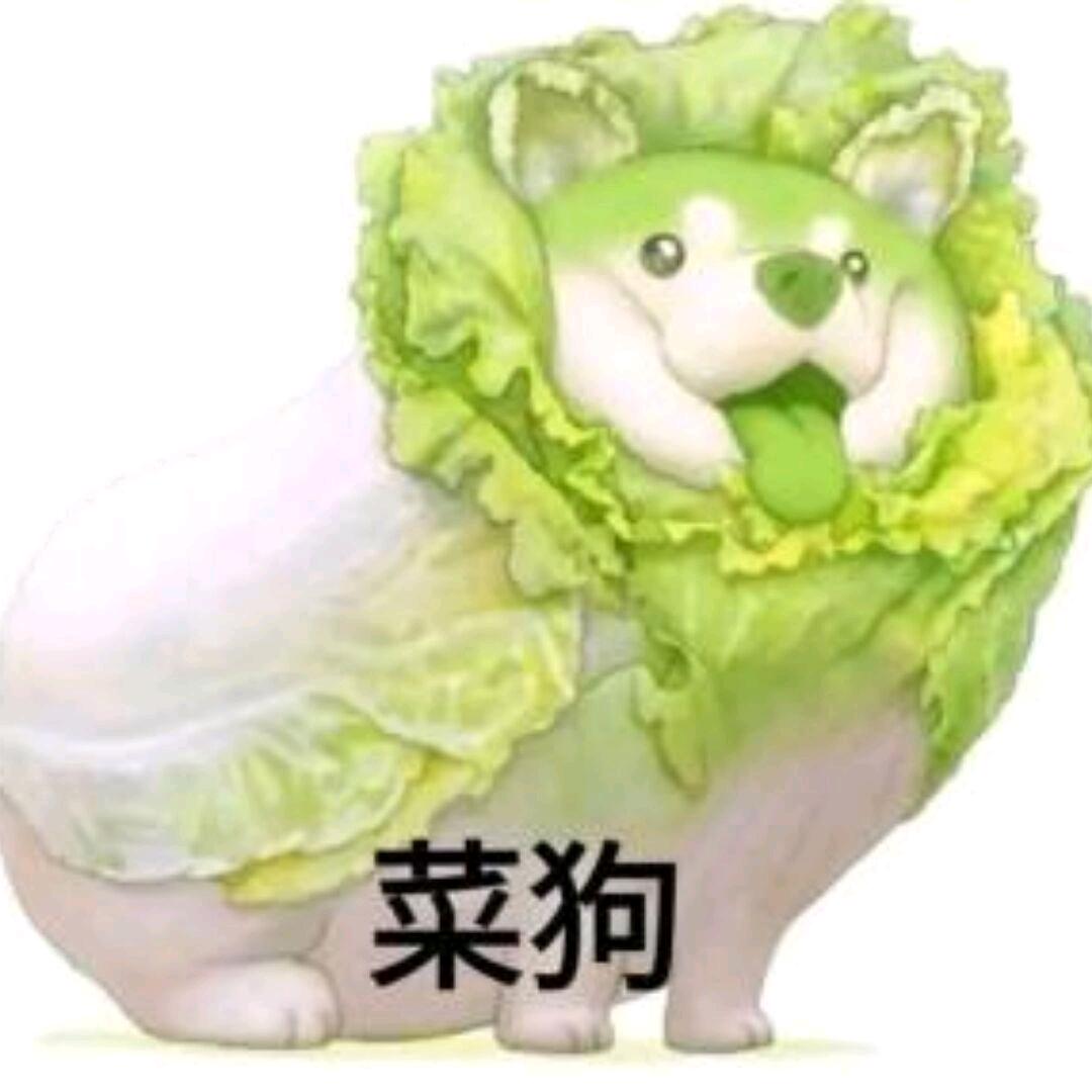 金牌🥇奶盖