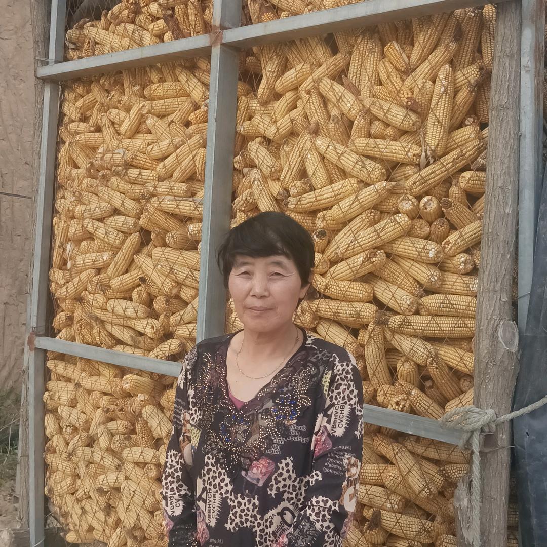 韩妈的农村生活