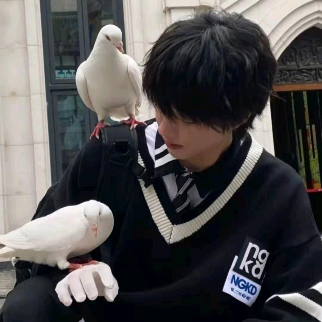白枭℡