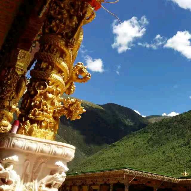 🐉龙龙⭐LL⭐