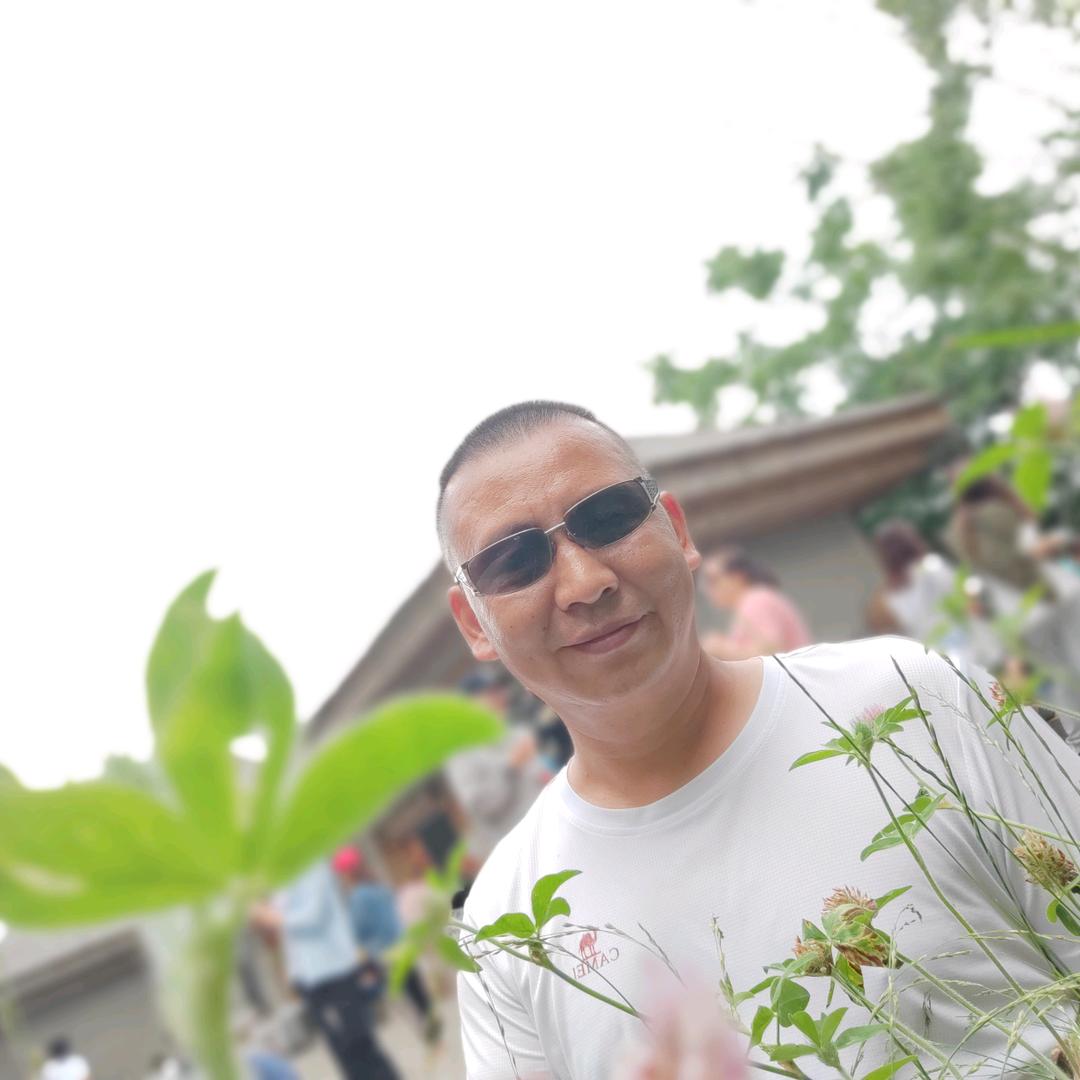 炎老逗