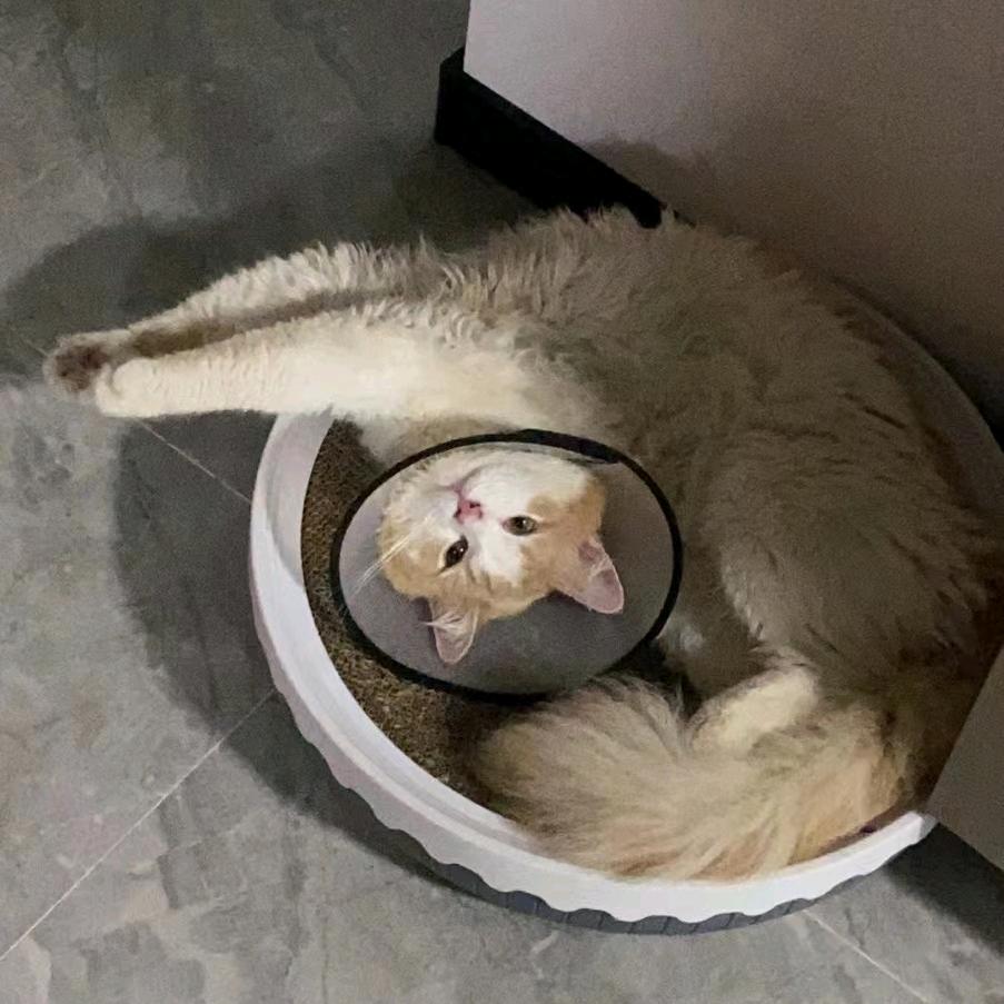 周 周