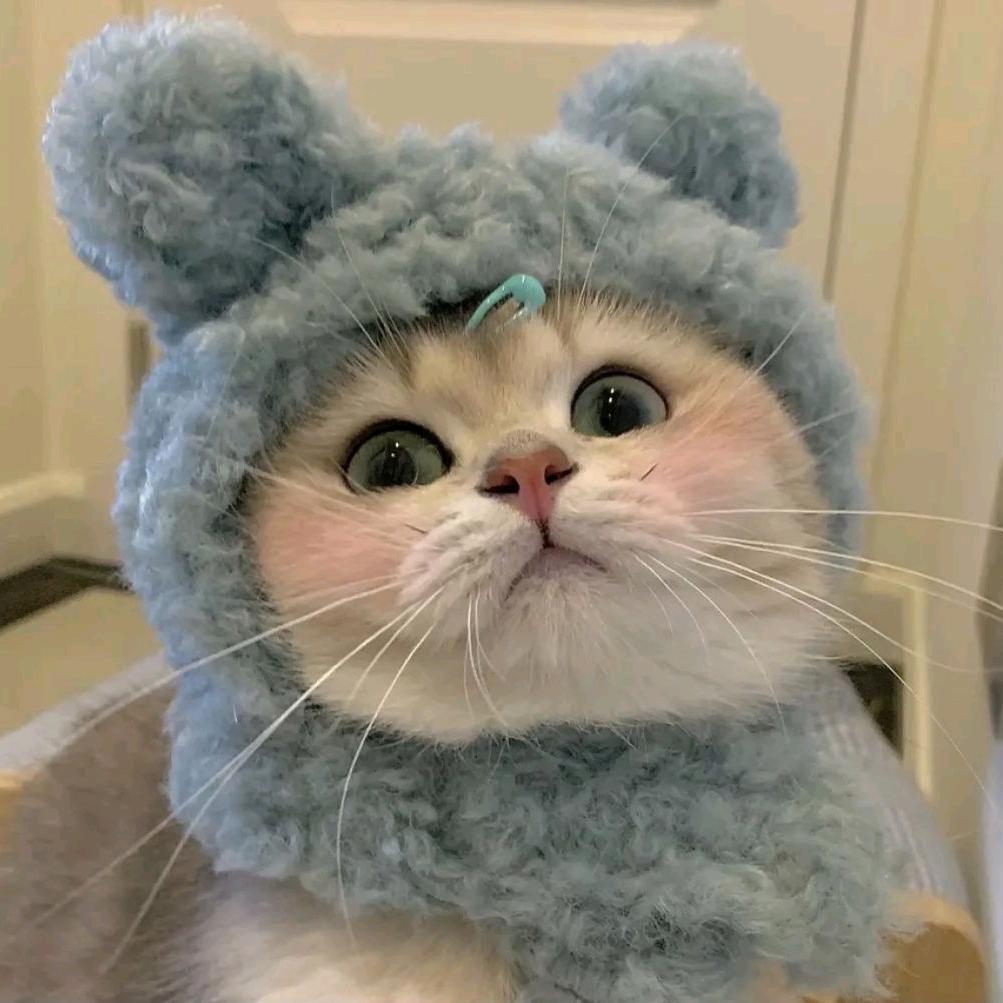 🌈草莓尖尖♡