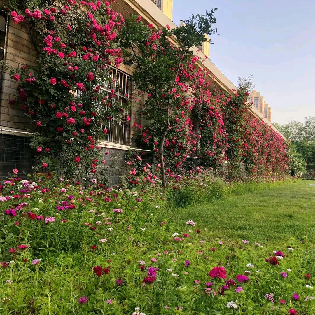 🌈《紫烨》🌈