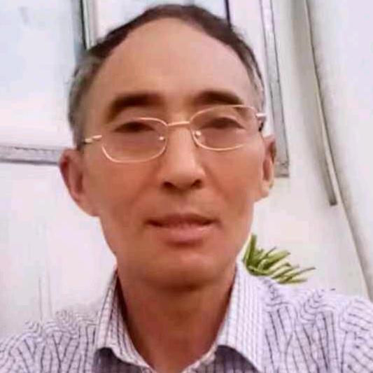 张陈