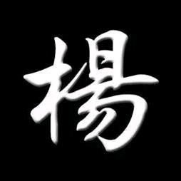 老杨同志