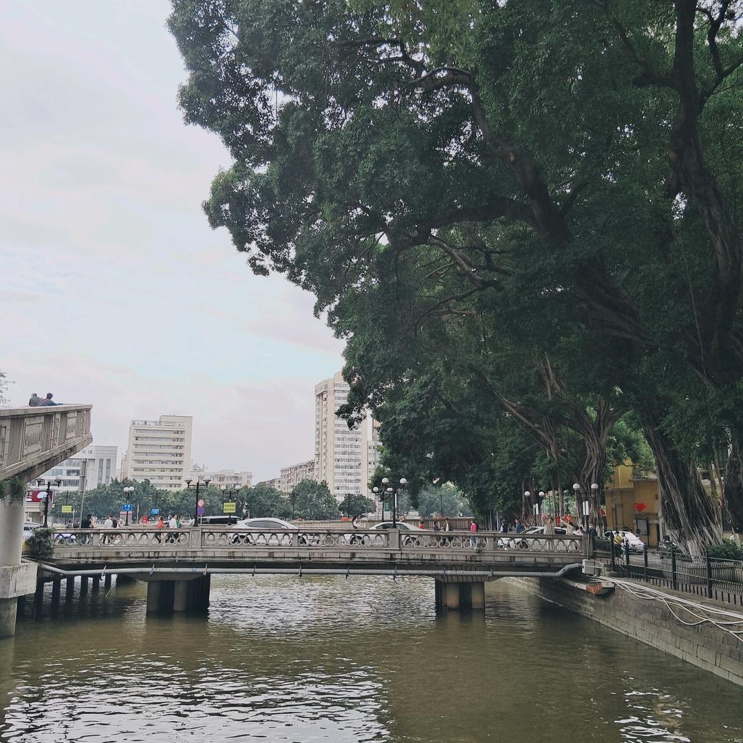 小鱼儿