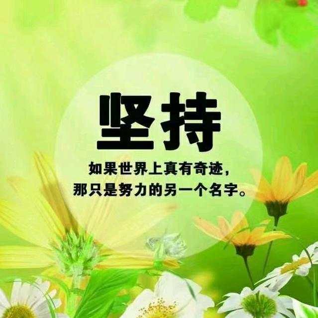 寒冬玫瑰