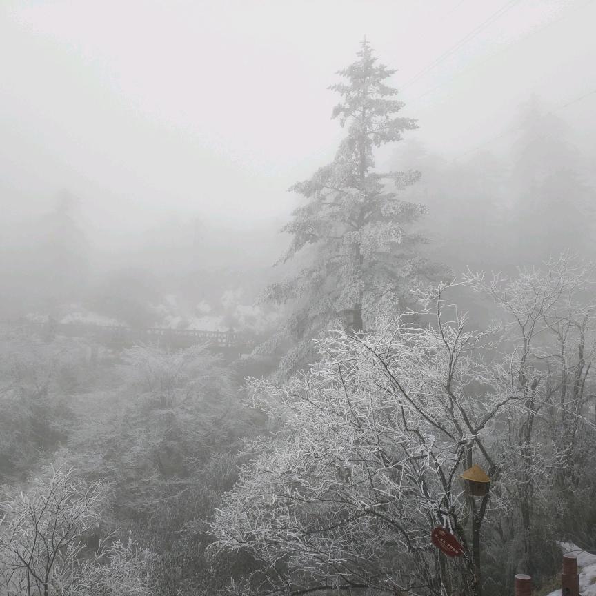 吃含点，看淡点