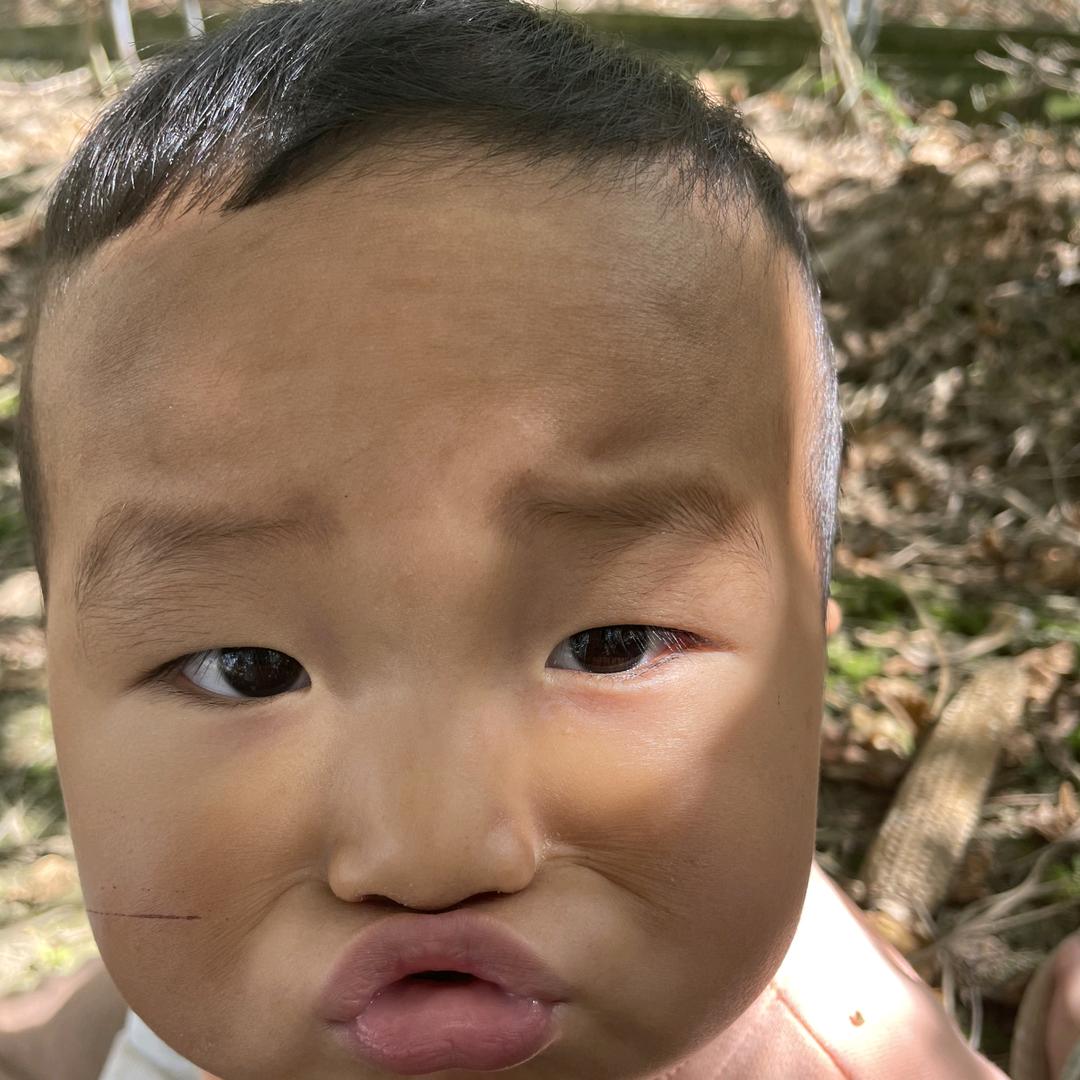 先森