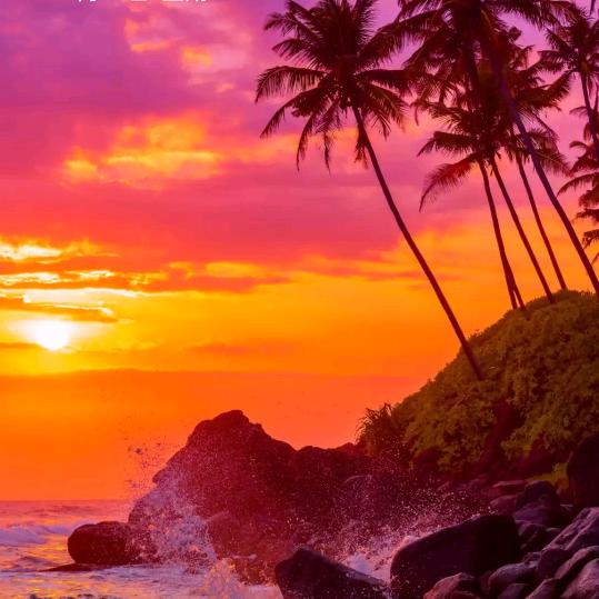 人心换人心换不来我转身