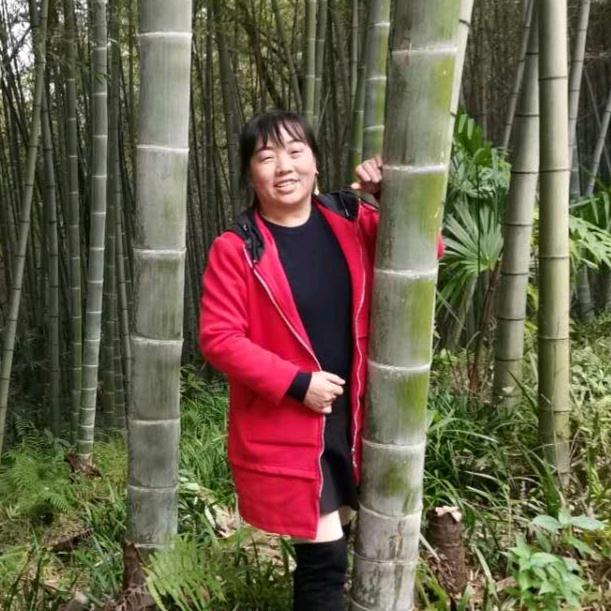 向阳茶厂茶叶直销