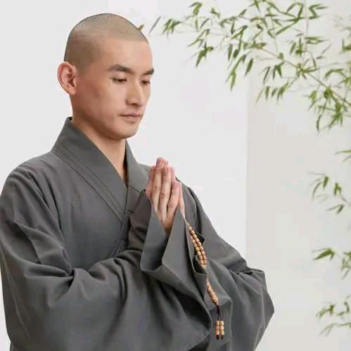 贫僧乱来