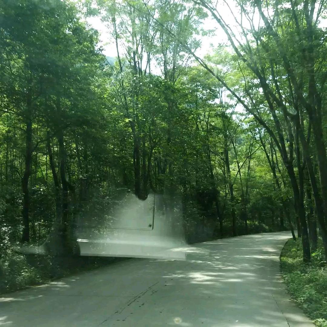 滨海雾凉¹⁹¹⁵