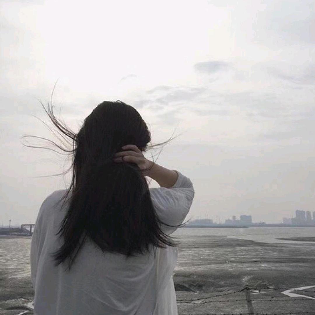 茂红