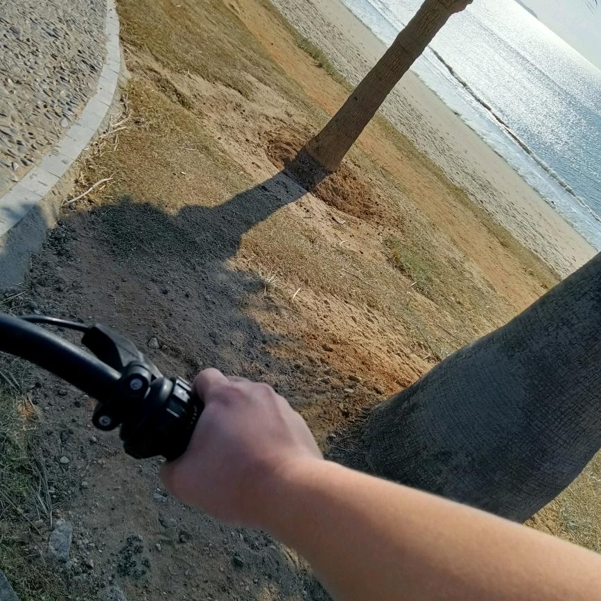 林霸气