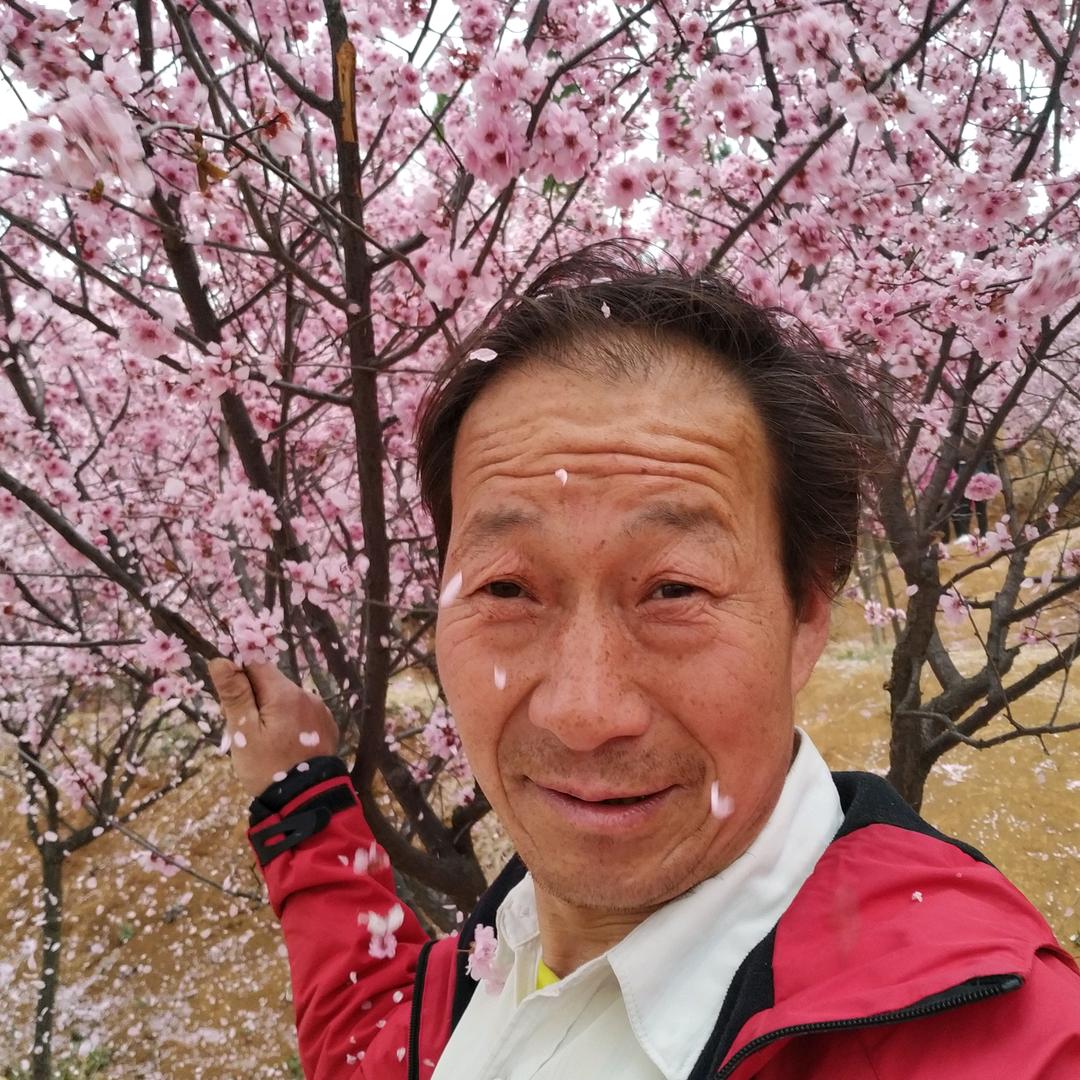 虎行天下