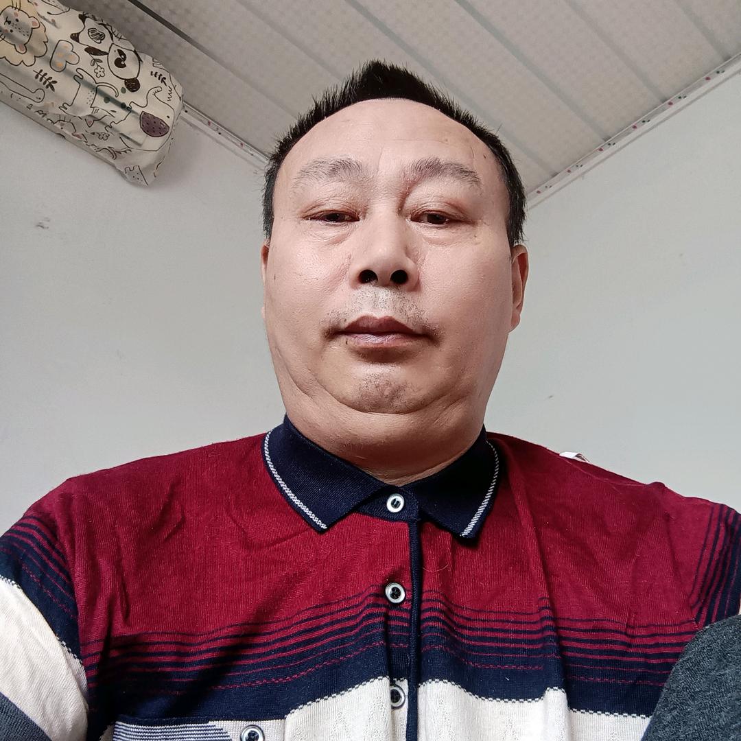 真心实意的