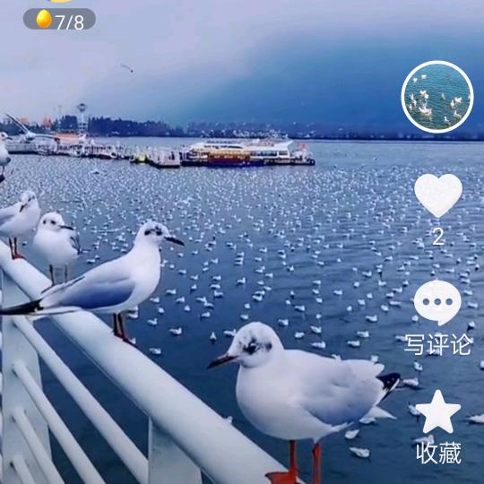 爱自家俩宝贝