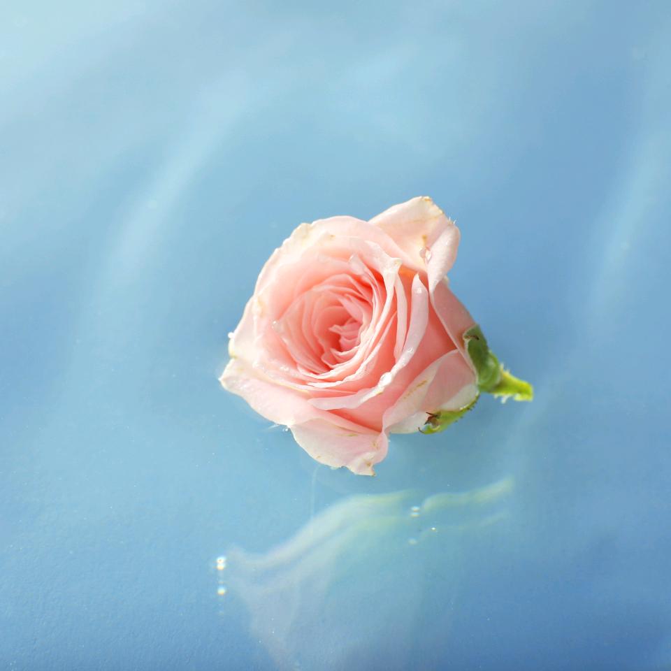 感恩有你《杨智健·漫水》