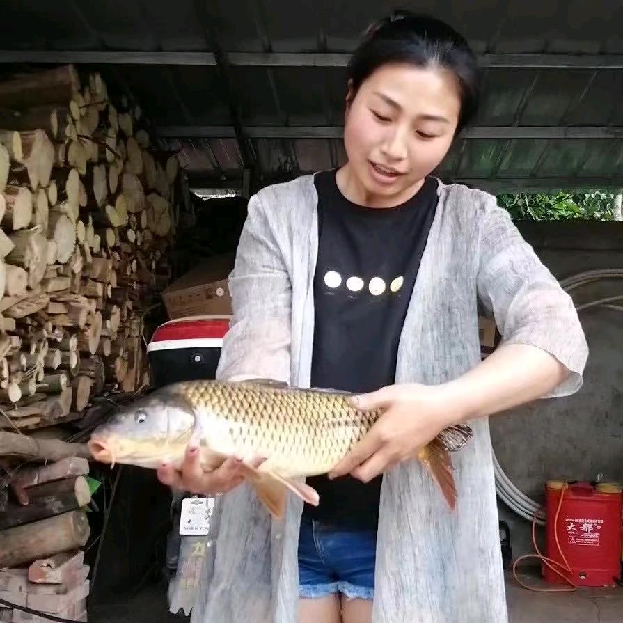 橘子在午睡
