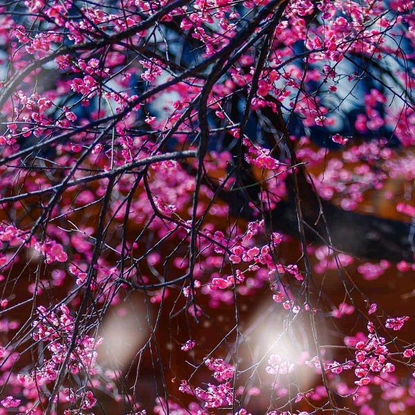 阿飞百货甄选店