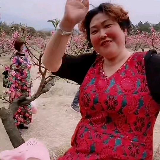 刘姐（醋洋芋）（彭州野迪燕姐团）