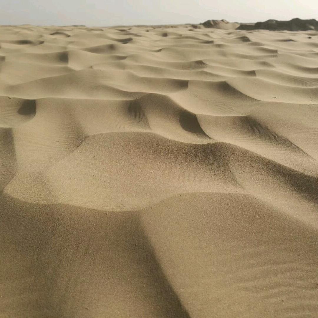 沙漠