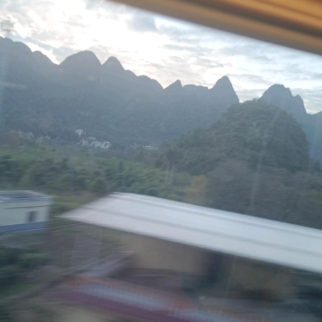 有网络就开心
