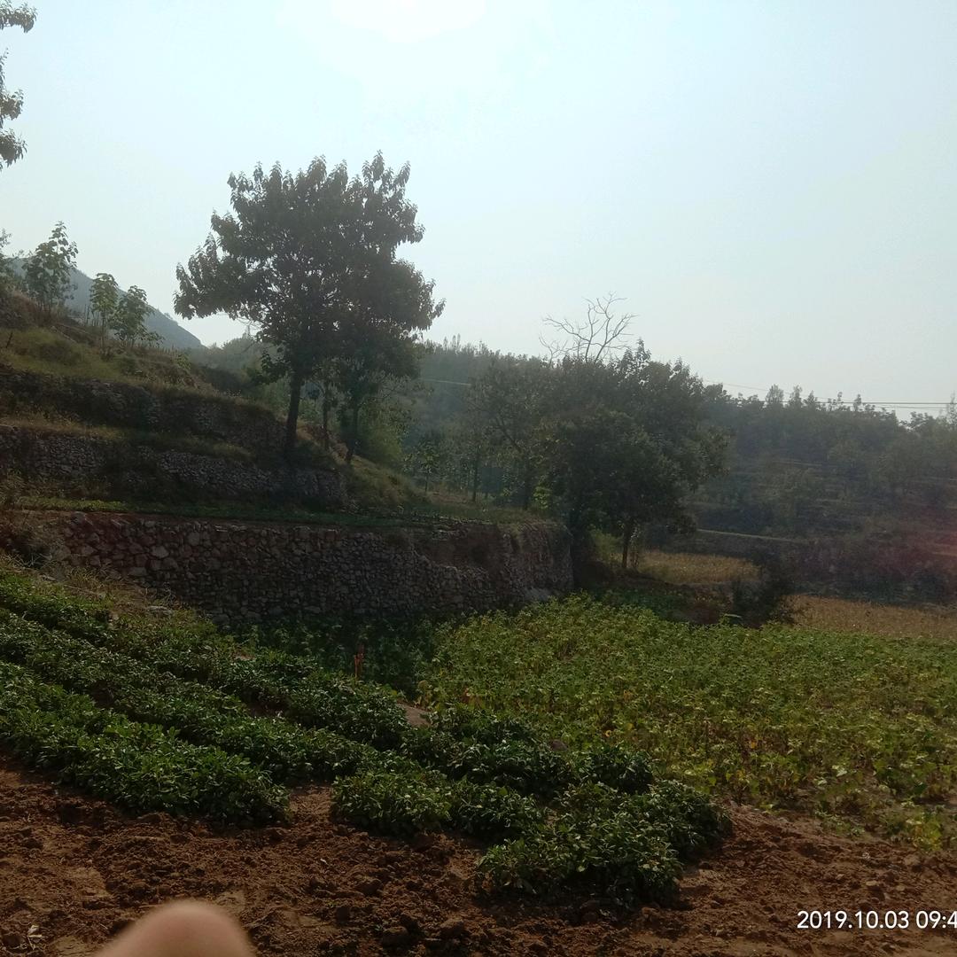 温暖人心小太阳