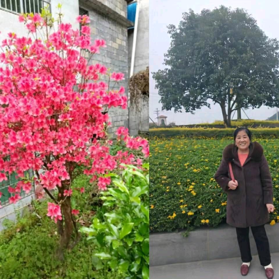 用户8843195803013幸福(蛇、