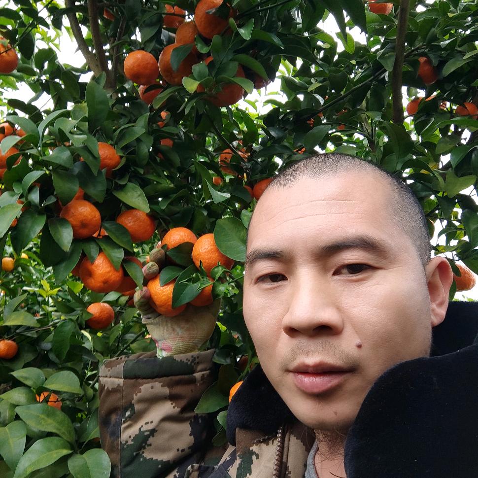 小耳朵总