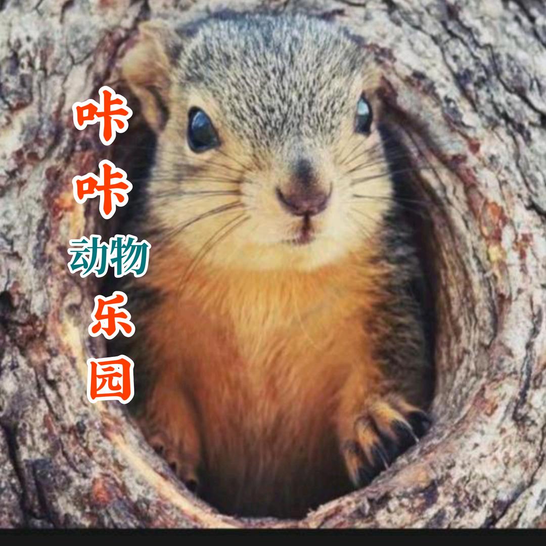 咔咔动物乐园