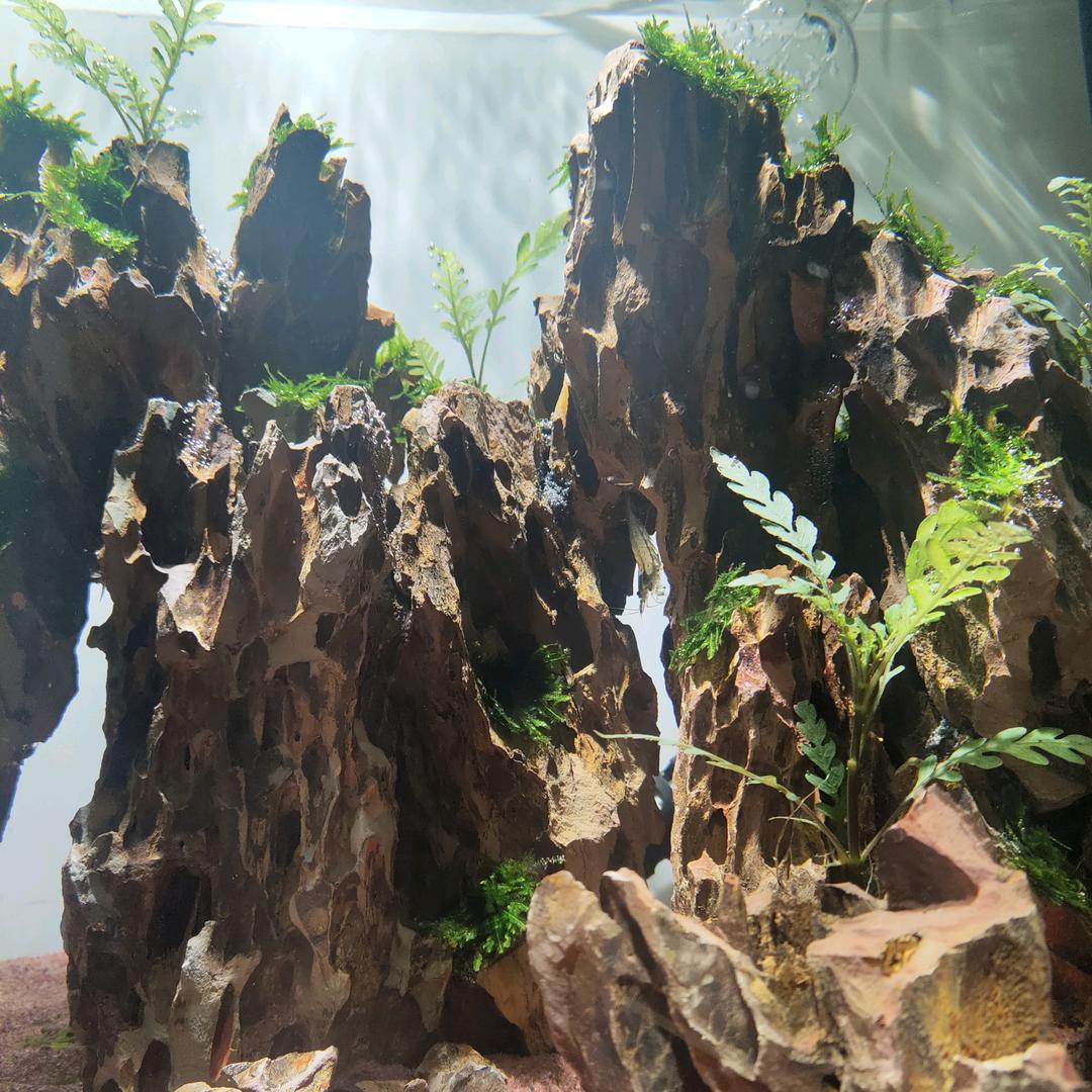 🐠🐠🐠🐠🐠🐠🐠🐠🐠🐠🐠