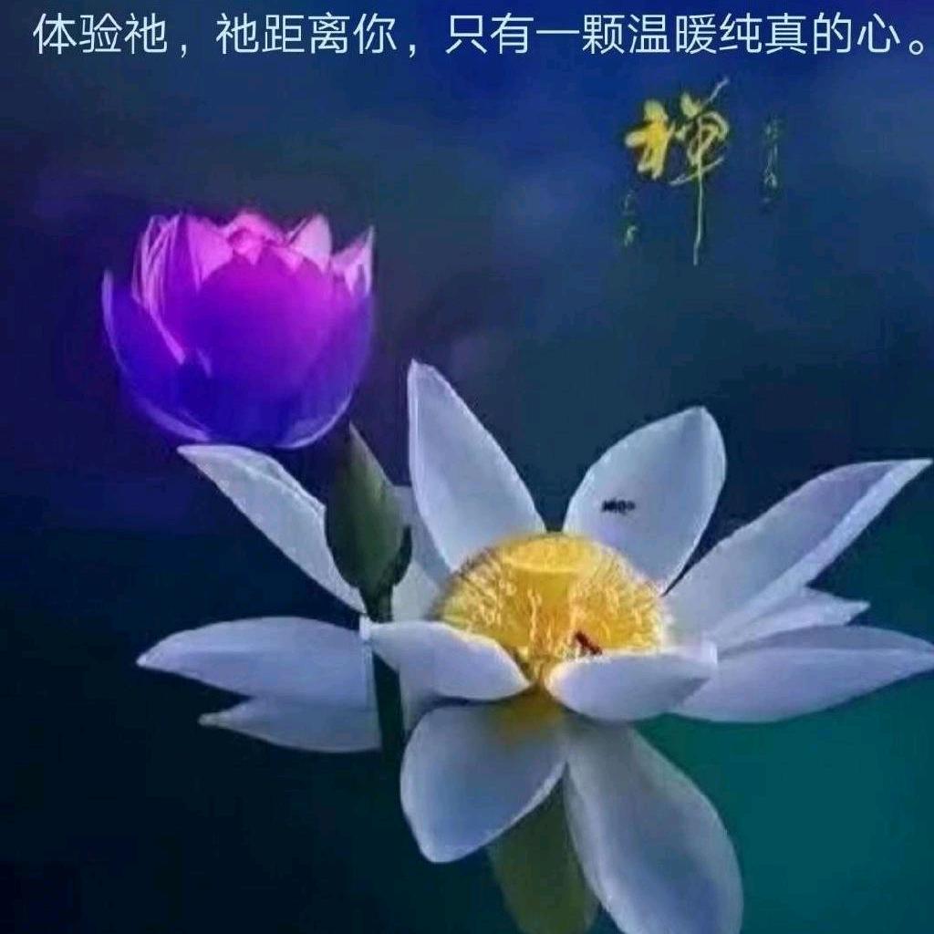 小强同学