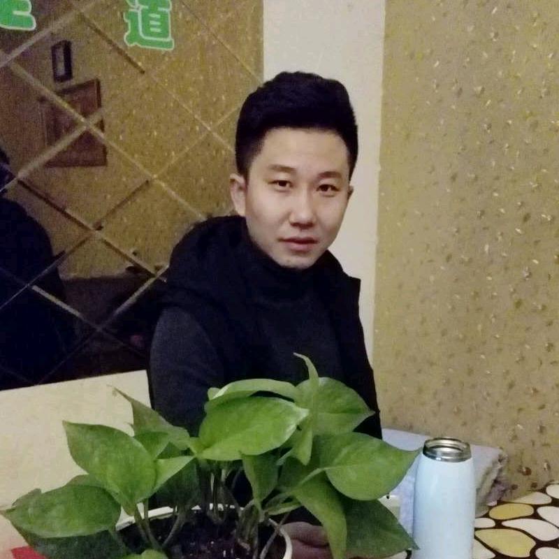 大安市大伟二手车交易市场有限公司